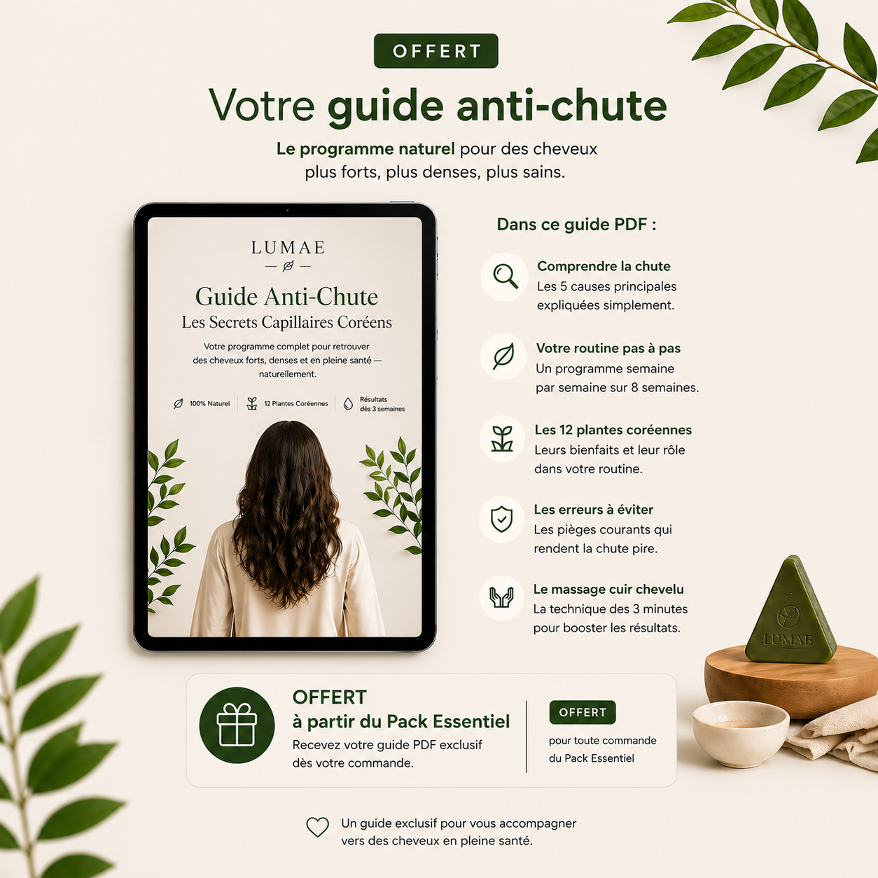 Guide anti chute Lumae